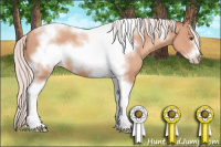 Horse Color:Silver Classic Champagne Sabino Tobiano Frame 