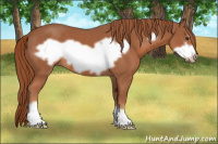 Horse Color:Chestnut Frame 