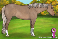 Horse Color:Silver Brown Dun 