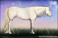 Horse Color:Buckskin Pearl 