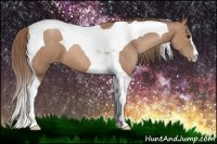 Horse Color:Brown Pearl Tobiano 
