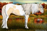 Horse Color:Palomino Roan Dun Splash Tobiano 