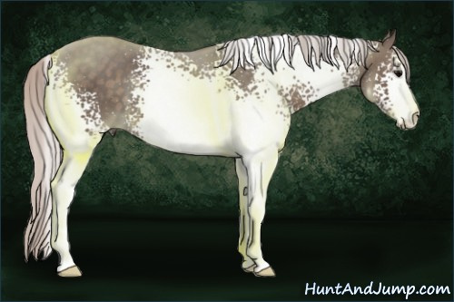 Horse Color: White Spotted Silver Brown 