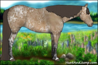 Horse Color:Buckskin Ice 