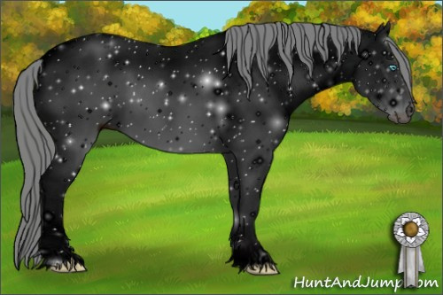 Horse Color: ERROR: UNKNOWN ANOMALY