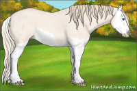 Horse Color:Perlino Dun Splash 