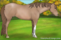 Horse Color:Brown Pearl 