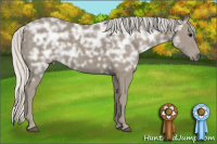 Horse Color:Silver Smoky Black Ice