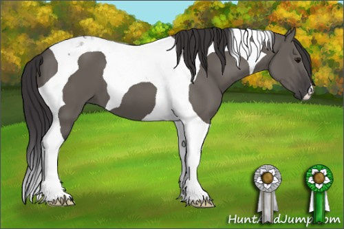 Horse Color: Smoky Grullo Tobiano 