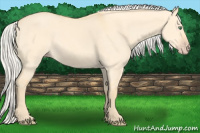 Horse Color:Silver Amber Cream Champagne Dun 