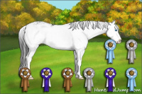 Horse Color:Black Sabino Splash 