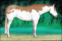 Horse Color:Chestnut Splash Frame Rabicano 