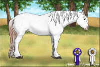 Horse Color:Bay Appaloosa Rabicano 