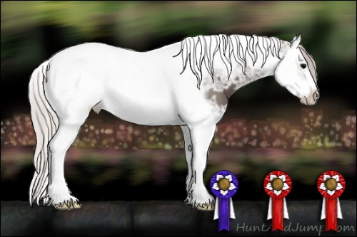 Horse Color: Silver Brown Ice Splash Tobiano Frame 