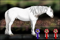 Horse Color:Silver Brown Ice Splash Tobiano Frame 
