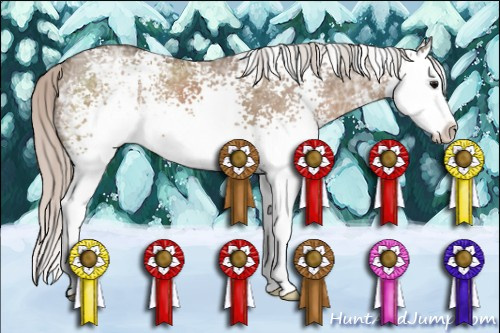 Horse Color: White Spotted Silver Grullo Ice Sabino Splash 
