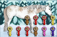 Horse Color:White Spotted Silver Grullo Ice Sabino Splash 