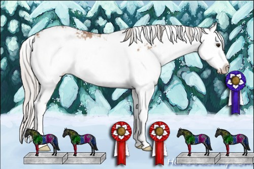 Horse Color: Silver Brown Ice Dun Sabino Splash 