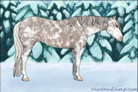 Horse Color:Silver Black Ice Sabino 