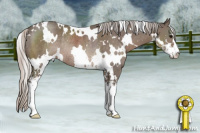Horse Color:White Spotted Silver Black Sabino Rabicano