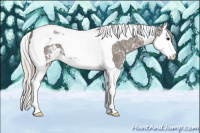 Horse Color:Silver Black Ice Sabino Splash Tobiano 