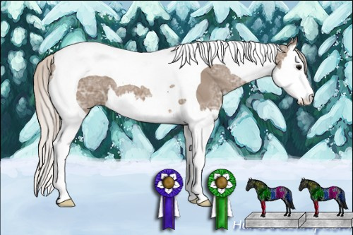 Horse Color: Silver Black Ice Sabino Splash Tobiano 