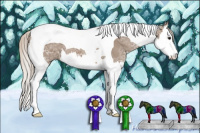 Horse Color:Silver Black Ice Sabino Splash Tobiano