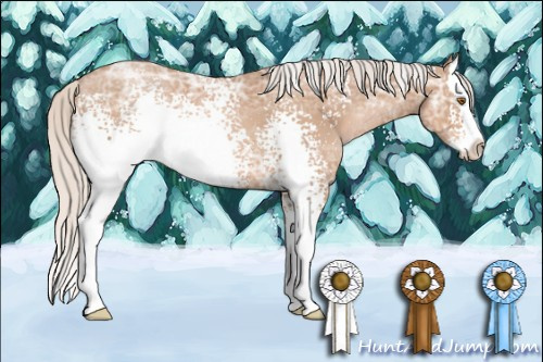 Horse Color: White Spotted Silver Black Ice Pearl Sabino Splash 