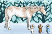 Horse Color:White Spotted Silver Black Ice Pearl Sabino Splash 