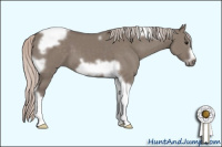 Horse Color:Silver Grullo Tobiano Frame 