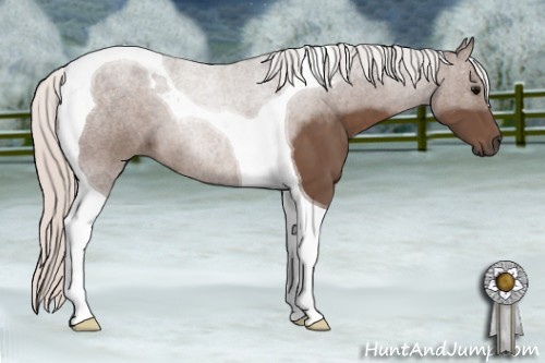 Horse Color: Silver Black Tobiano 