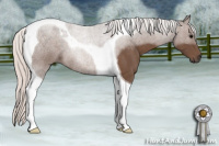 Horse Color:Silver Black Tobiano
