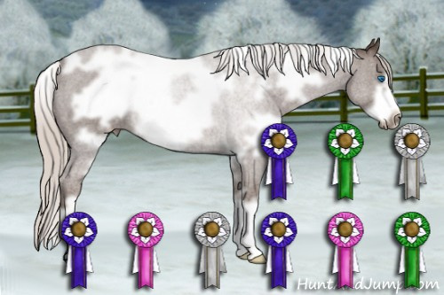 Horse Color: White Spotted Silver Black Frame 