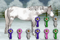 Horse Color:White Spotted Silver Black Frame 