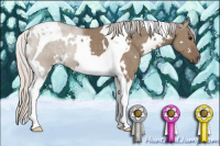 Horse Color:White Spotted Silver Grullo Tobiano 