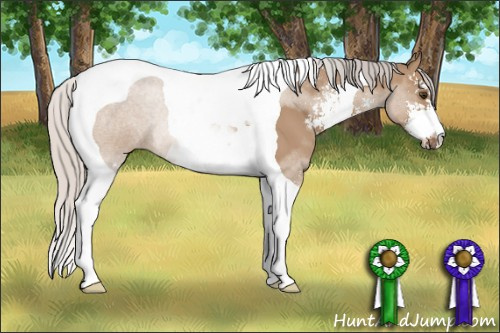 Horse Color: Silver Bay Dun Sabino Tobiano 