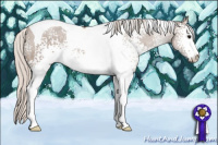 Horse Color:White Spotted Silver Black Tobiano 
