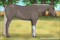 Horse Color:Silver Black 