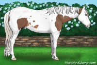 Horse Color:Silver Black Splash Tobiano 