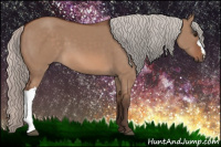 Horse Color:Silver Bay Dun