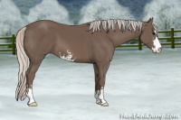 Horse Color:Silver Black Sabino 
