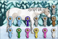 Horse Color:Silver Grullo Sabino Tobiano 