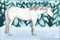 Horse Color:Silver Grullo Ice Sabino Splash