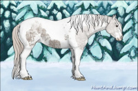 Horse Color:Silver Grullo Ice Sabino Tobiano 