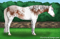 Horse Color:White Spotted Silver Brown Splash 