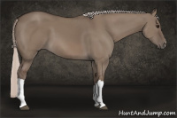 Horse Color:Silver Grullo 