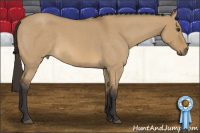 Horse Color:Buckskin Roan Dun 