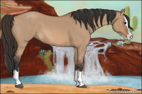 Horse Color:Bay Roan Dun Splash