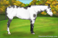 Horse Color:White Spotted Black Frame 