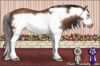 Horse Color:Bay Roan Splash Frame 